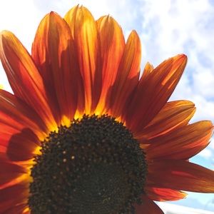 ❤️Meet your posher, Leilani